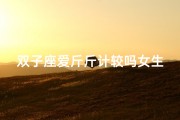 双子座爱斤斤计较吗女生-双子座爱斤斤计较的真相揭秘