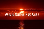虎宝宝能用航字起名吗？男孩名字大揭秘