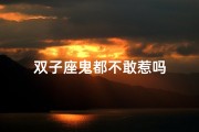双子座鬼都不敢惹吗