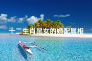 十二生肖鼠女的婚配属相-《鼠女婚配吉相揭秘：最佳伴侣属相大揭秘》