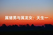 属猪男与属龙女：天生一对佳缘配