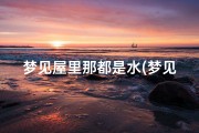 梦见屋里那都是水(梦见屋里都是水蒸气)