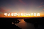 天蝎座爱你却说分手是真爱吗—天蝎深情分手谜题：真爱还是谎言？
