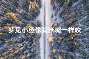梦见小鱼像我张嘴一样咬我、梦见鱼对我张嘴巴还笑