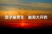 双子座男生：脑洞大开的创意源泉