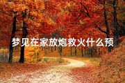 梦见在家放炮救火什么预兆-梦见在家放炮救火什么预兆解梦