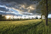 梦见客厅堆满玉米_梦见客厅都是玉米