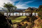 双子座能当媒婆吗？男生可以吗？
