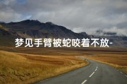 梦见手臂被蛇咬着不放-梦到被蛇咬手臂不放
