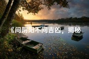 《问阴阳不问吉凶，揭秘神秘占卜之谜》