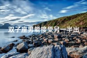 双子座男能接受另一半出轨吗—双子座男：出轨，你能接受吗？