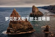 梦见在太阳下挖土豆啥意思_梦见太阳照在大地上