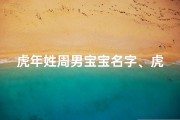 虎年姓周男宝宝名字、虎跃雄风，周氏宝宝：2022年新春吉祥名诞生记