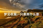 梦见收服一只黑熊什么意思_梦见黑熊袭击自己但是获救