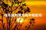 属羊属狗属龙属牛相配吗