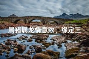 属猪属龙情意浓，缘定三生共白头
