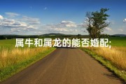 属牛和属龙的能否婚配;属牛属龙能否牵手：婚配奥秘大揭秘