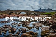 梦见一个男子从高处掉下来;梦见一个男子从高处掉下来摔死了