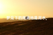 梦见下的雨满地是泥水,梦见下大雨满地泥