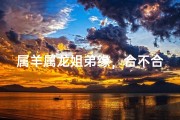 属羊属龙姐弟缘，合不合情定天意