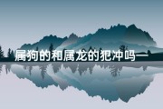 属狗的和属龙的犯冲吗—属狗属龙犯冲：化解冲突的智慧之道