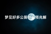 梦见好多公厕什么预兆解梦、老是梦见很多屎的公厕