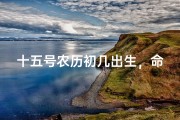 十五号农历初几出生，命好福满门