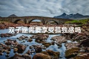 双子座需要享受孤独感吗、双子座：孤独感，享受还是逃避？