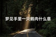 梦见手里一只鹅肉什么意思;梦见一只白鹅抓我的手不放