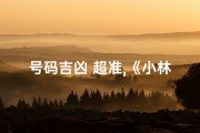 号码吉凶 超准,《小林揭秘：号码吉凶测试，运势大揭秘》