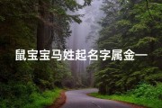 鼠宝宝马姓起名字属金—《金鼠宝宝马姓，闪耀姓名新风尚》