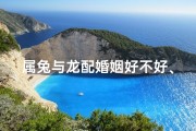 属兔与龙配婚姻好不好、属兔龙缘：佳偶天成，情比金坚