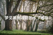 梦见喝到凉甜的水了啥意思(梦见喝甜甜的水)