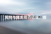 属狗与属龙能否结缘？婚配奥秘揭晓
