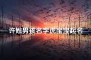 许姓男孩名字虎宝宝起名