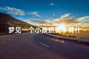 梦见一个小孩抓我手臂什么意思(梦见一个小孩抓我手臂什么意思周公解梦)