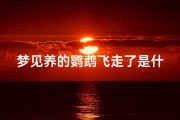 梦见养的鹦鹉飞走了是什么意思、梦到自己养的鹦鹉飞出笼子
