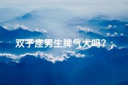 双子座男生脾气大吗？;双子座男生气场揭秘：强大与否之谜