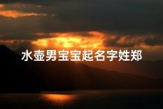 水壶男宝宝起名字姓郑