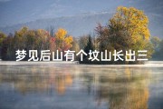 梦见后山有个坟山长出三个金南瓜、梦见坟头长南瓜
