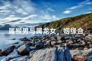 属猴男与属龙女，姻缘合适吗？