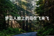 梦见人脸上的鸟在飞来飞去、梦见脸上有鸟屎是什么意思