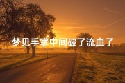 梦见手掌中间破了流血了;梦见手掌破了一道道口
