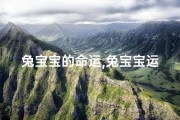 兔宝宝的命运,兔宝宝运势吉凶一览