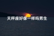 天秤座好像一样吗男生