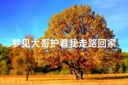 梦见大哥护着我走路回家,梦见大哥护着我走路回家了
