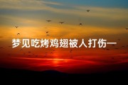 梦见吃烤鸡翅被人打伤—梦见吃鸡翅中