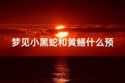 梦见小黑蛇和黄鳝什么预兆(梦见小黑蛇和黄鳝什么预兆解梦)