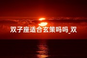 双子座适合玄策吗吗_双子座适合玩什么英雄