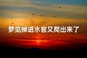 梦见掉进水窖又爬出来了_梦见我掉进水坑里,又爬了出来,什么意思